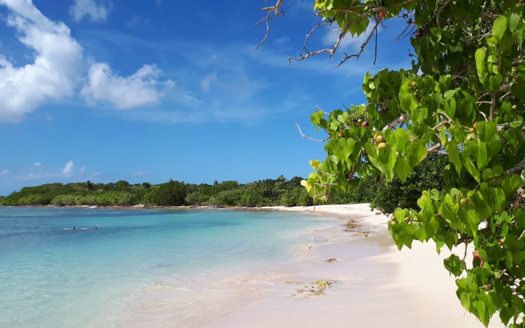 TiPAREO a testé pour vous : randonnée Anse Bertrand, Plage du Souffleur