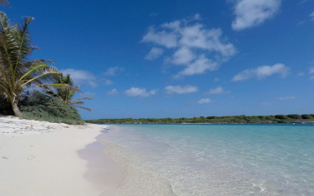 TiPAREO a testé pour vous : randonnée Anse Bertrand, Plage du Souffleur